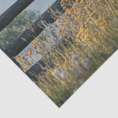 Decoupage Grote Black Brahman Bull in het veld Tissuepapier (Detail)