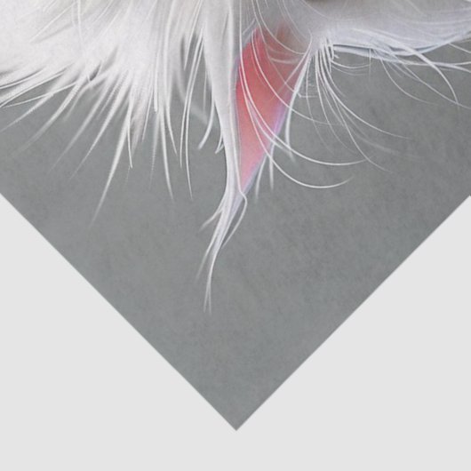 Decoupage Grumpy White Fury Cat Tissuepapier (Detail)