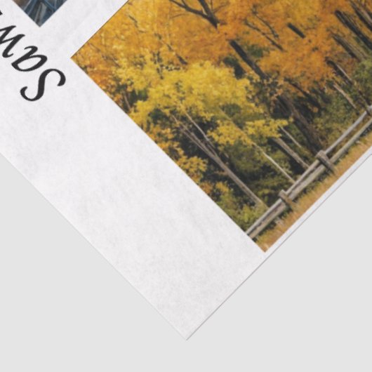 Decoupage Handsaw Designs Red Barn, Yellow Barn,  Tissuepapier (Detail)