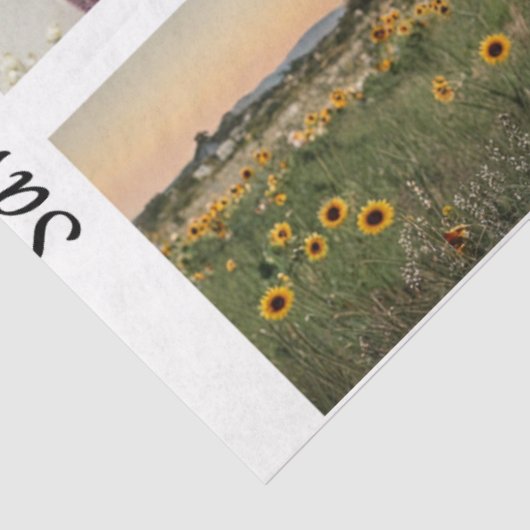 Decoupage Handsaw Designs Rooster Donkey Truck  Tissuepapier (Detail)