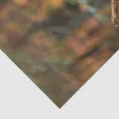 Decoupage Herfst beeldjes in Pumpkin Forest Tissuepapier (Detail)