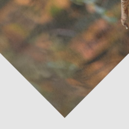 Decoupage Herfst beeldjes in Pumpkin Forest Tissuepapier (Detail)