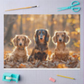 Decoupage Herfst instellen Teckels Herfstbladeren Tissuepapier (Craft)