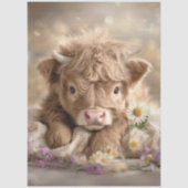 Decoupage Highland Calf Spring Daisies Tissuepapier (Voorkant)