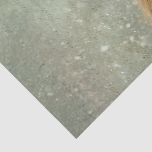 Decoupage Highland Calf Winter Handwritten Script Tissuepapier (Detail)