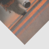 Decoupage Highland Calves Halloween Moo March Tissuepapier (Detail)