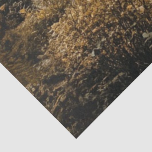 Decoupage Highland Castle Ierland Misty Landschap Tissuepapier (Detail)