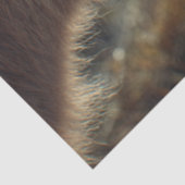 Decoupage Highland Cow Calf Nose to Nose  Tissuepapier (Detail)