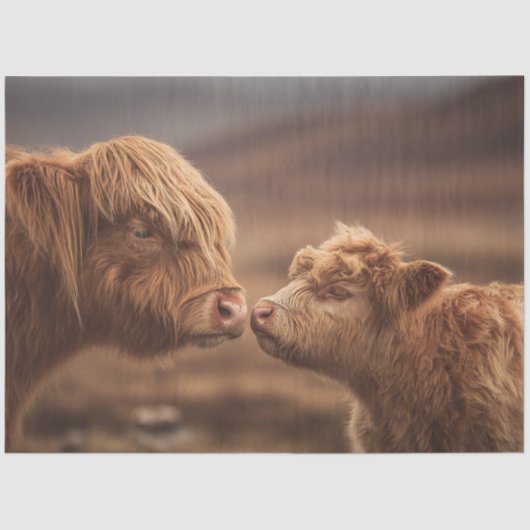 Decoupage Highland Koe & Kalf Nuzzling Tissuepapier (Voorkant)