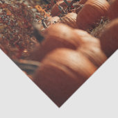 Decoupage Highland  Truck Pumpkins Land Tissuepapier (Detail)