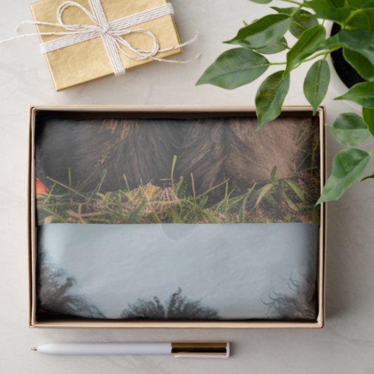 Decoupage Hippie Boho Standaard Poedel Zusters Tissuepapier (Geschenk)