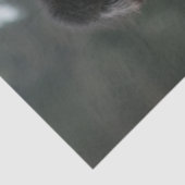 Decoupage Hippie Hipsters Standaard Poedels Fiets Tissuepapier (Detail)