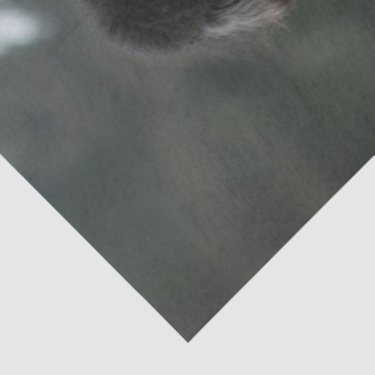 Decoupage Hippie Hipsters Standaard Poedels Fiets Tissuepapier (Detail)