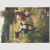 Decoupage Holstein Koeien Standing Field Flowers Tissuepapier (Voorkant)