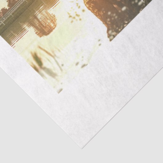 Decoupage Horses Double Exposure 11x14 Canvas Tissuepapier (Detail)