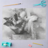 Decoupage Houtskool Duitse Shepard Portret Tissuepapier (Craft)
