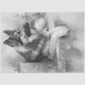 Decoupage Houtskool Duitse Shepard Portret Tissuepapier (Voorkant)