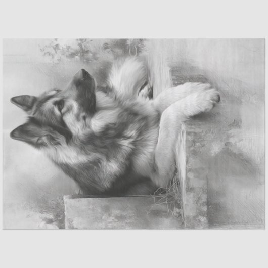 Decoupage Houtskool Duitse Shepard Portret Tissuepapier (Voorkant)