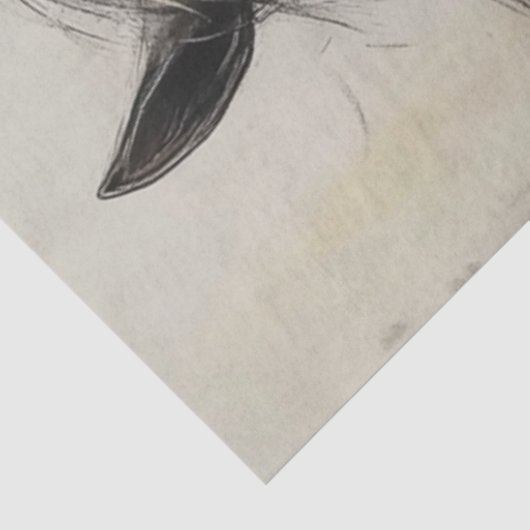 Decoupage Houtskool Paard Untamed Grace Art Tissuepapier (Detail)