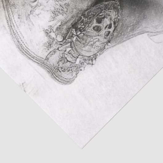 Decoupage Illustratie Pirate Art Tissuepapier (Detail)