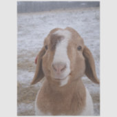 Decoupage Jerry Goat  Tissuepapier (Voorkant)