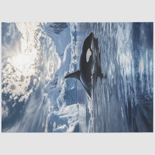 Decoupage Killer Whale Orka Icy Waters Tissuepapier (Voorkant)