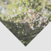 Decoupage  Lady Evelyn Standaard Poedel Tissuepapier (Detail)