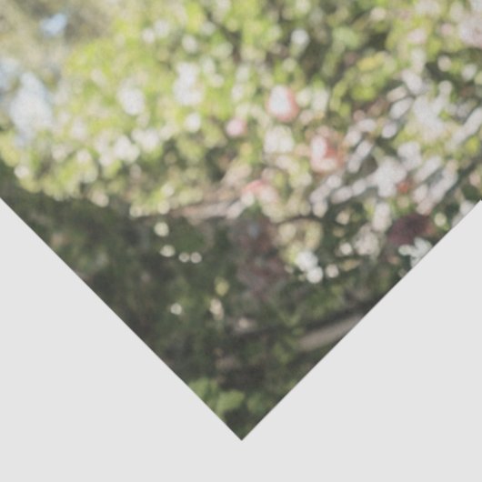 Decoupage  Lady Evelyn Standaard Poedel Tissuepapier (Detail)