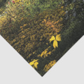 Decoupage Land Gedekte Bridge Herfst instellen Tissuepapier (Detail)