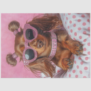 Decoupage langharige teckel in roze tissuepapier