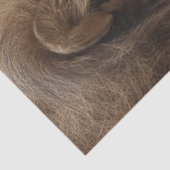 Decoupage Leeuw Eekhoorn Pauze Tussen Hartslagen Tissuepapier (Detail)