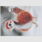 Decoupage Levendige grillige Fluffy Christmas Bird Tissuepapier (Voorkant)