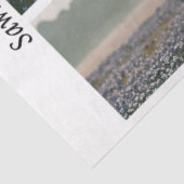Decoupage Longhorn Wester Papers Zaagbladen Tissuepapier (Detail)