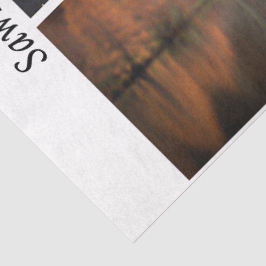 Decoupage Longhorns Bluebonnets Trees Handsaws Tissuepapier (Detail)