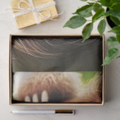 Decoupage Luie Dagen Luiaard Jungle Tissuepapier (Geschenk)