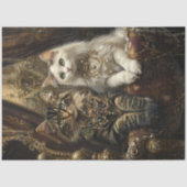 Decoupage Luxueuze Tabby & Witte Katten Tissuepapier (Voorkant)