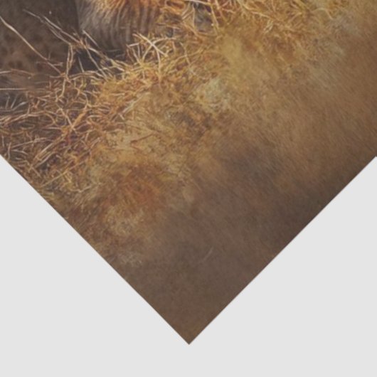 Decoupage Majestic Lion Lioness & 3 Cubs Tissuepapier (Detail)