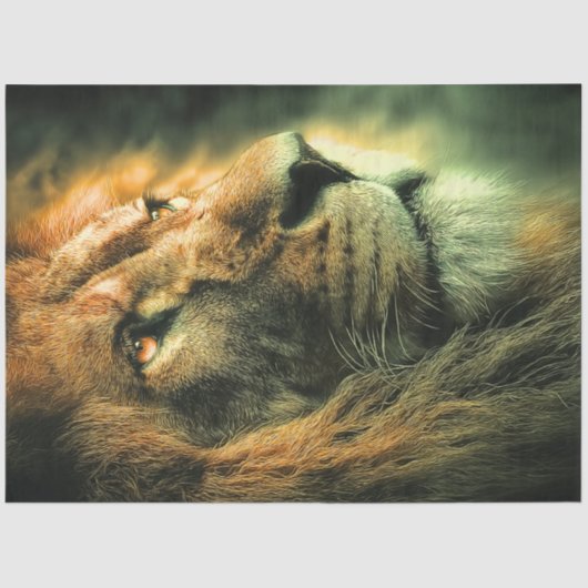 Decoupage Majestic Lion Profiel Gouden Glans Tissuepapier (Voorkant)