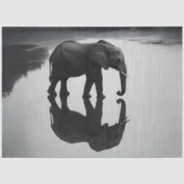 Decoupage Majestueuze Afrikaanse olifant en reflec Tissuepapier
