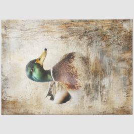 Decoupage Mallard Duck  Schilderij Tissuepapier