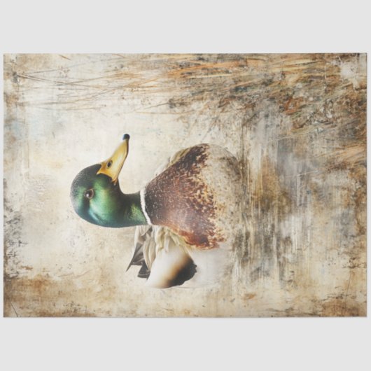 Decoupage Mallard Duck  Schilderij Tissuepapier (Voorkant)