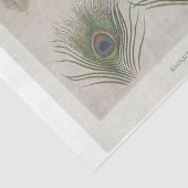 Decoupage met pauwveren en ephemera tissuepapier (Detail)