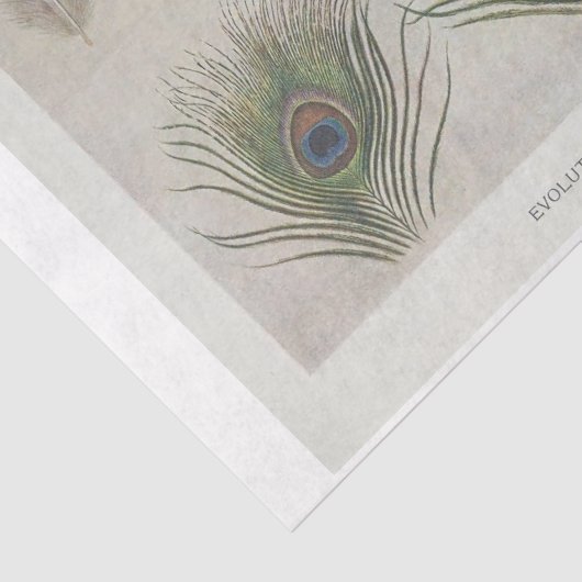 Decoupage met pauwveren en ephemera tissuepapier (Detail)