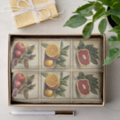 Decoupage met Vintage Fruit Botanische Raster Tissuepapier (Geschenk)