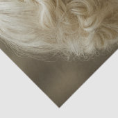 Decoupage Mystical Woman In Ivory With Owl  Tissuepapier (Detail)