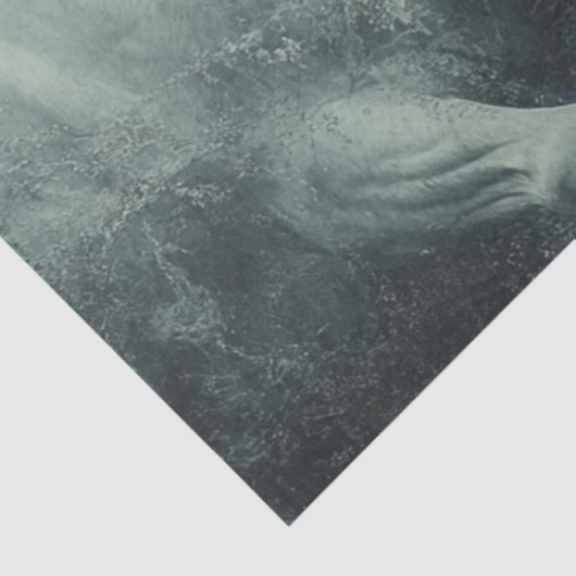 Decoupage Mystiek Zwart Wit Paard Krachtig Tissuepapier (Detail)