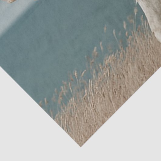 Decoupage Native American Indian Chief op het paar Tissuepapier (Detail)