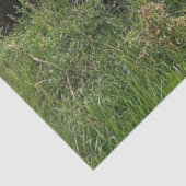 Decoupage Nostalgische Roestige Rode Truck Oude Sc Tissuepapier (Detail)