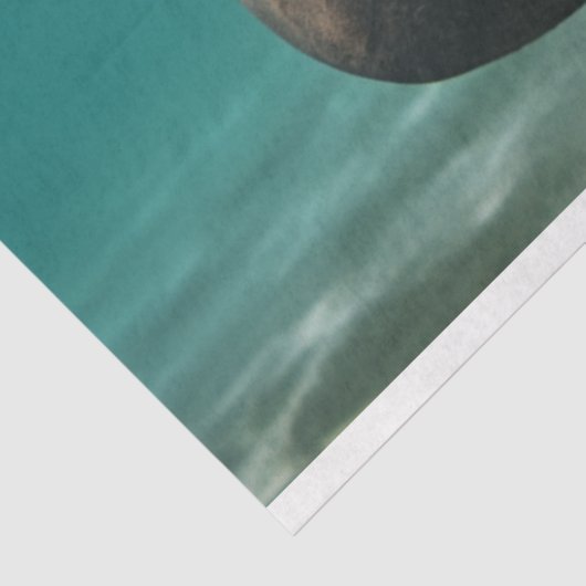 Decoupage Ocean Manatee Family Tissuepapier (Detail)