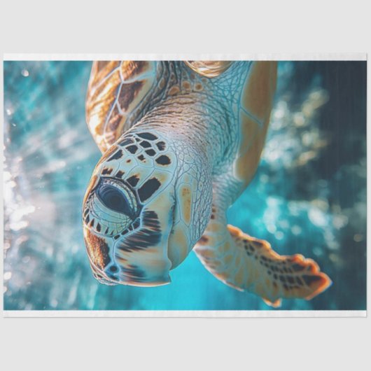 Decoupage Ocean Wildlife Fred de Mad Zee Schildpad Tissuepapier (Voorkant)